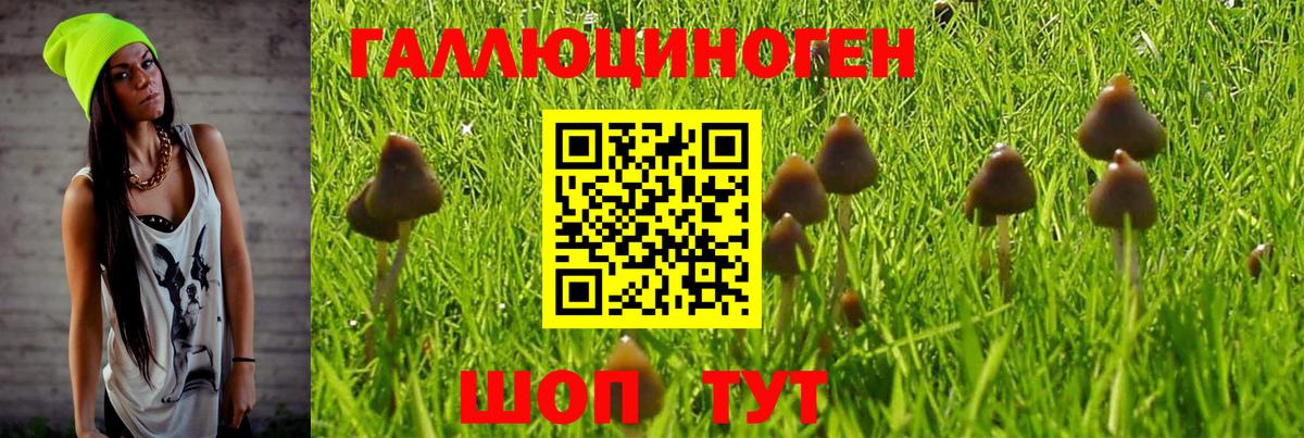 Ростов Великий  как найти закладки  Вход с VPN  Псилоцибиновые грибы Cubensis 